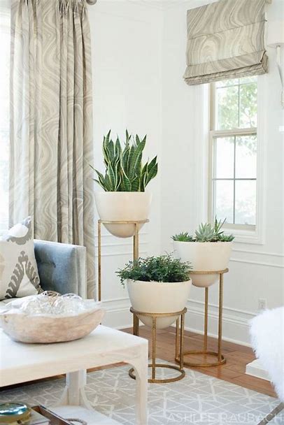 Decorating With Plants